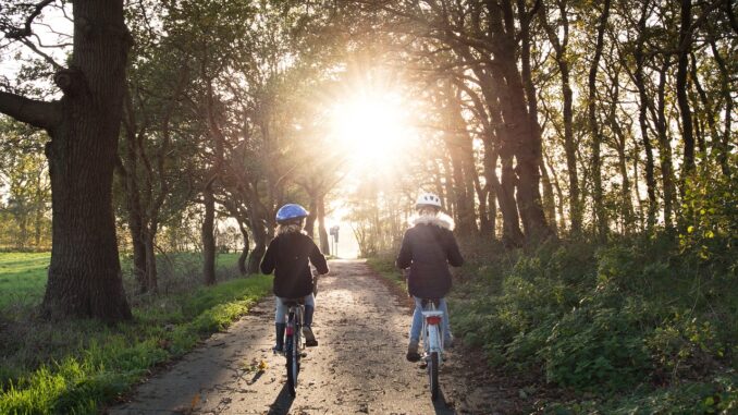 découvrez les dernières innovations en matière de sécurité routière qui transforment nos routes en lieux plus sûrs. explorez des technologies et des solutions novatrices visant à réduire les accidents et protéger tous les usagers de la route.