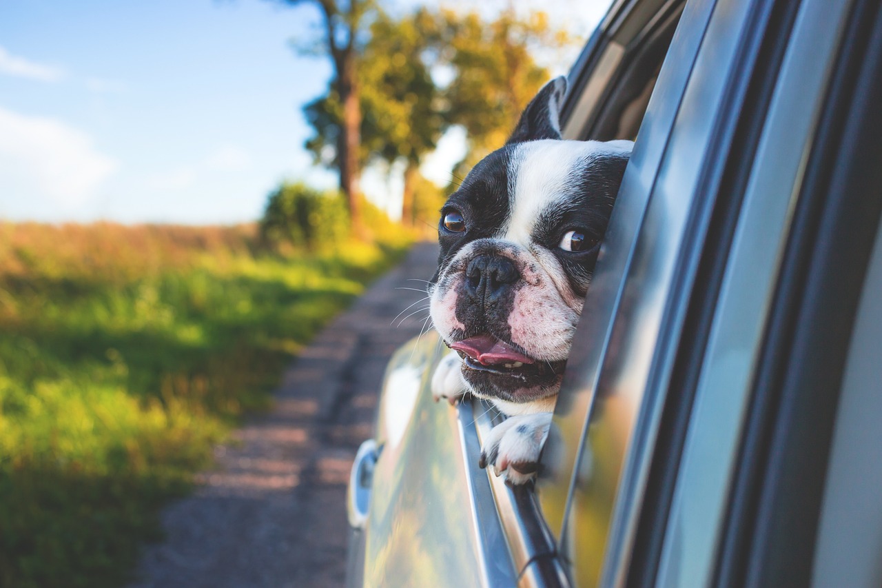 découvrez l'aventure ultime avec nos idées de road trips à travers des paysages époustouflants. que vous soyez amateur de nature, de culture ou de gastronomie, partez à la découverte de routes pittoresques et de destinations inoubliables. préparez-vous à vivre des moments mémorables sur la route !