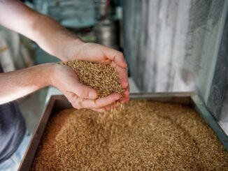 découvrez ce qu'implique l'arrêt de la production, ses causes principales et les conséquences pour les entreprises et l'économie. obtenez des conseils pour gérer efficacement une cessation de production.