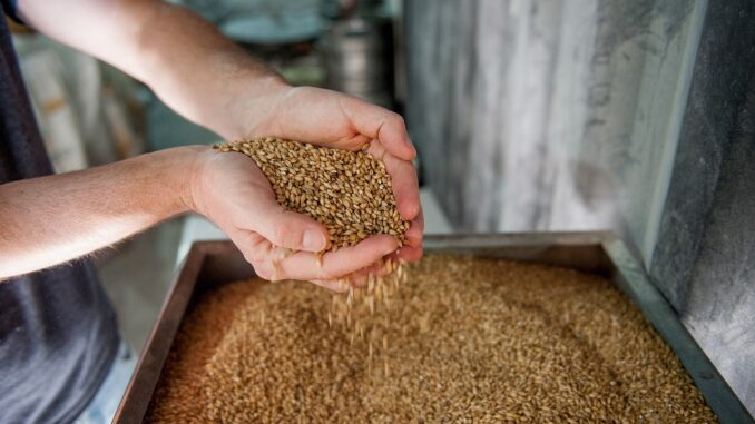production cessation découvrez ce qu'implique l'arrêt de la production, ses causes principales et les conséquences pour les entreprises et l'économie. obtenez des conseils pour gérer efficacement une cessation de production.
