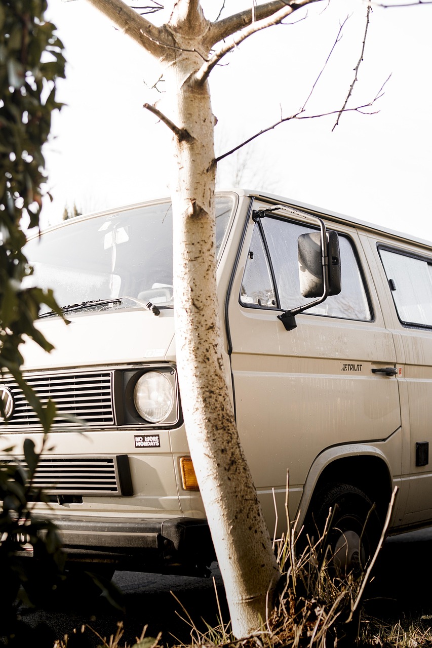 découvrez la vanlife : conseils, astuces et inspirations pour voyager en liberté en van aménagé, profiter de la nature et vivre des aventures inoubliables sur les routes.