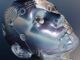 découvrez comment l'intelligence artificielle transforme notre quotidien, optimise les entreprises et révolutionne les technologies grâce à ses applications avancées. informations, tendances et innovations sur l'ia.