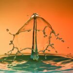 découvrez les fonctionnalités essentielles à connaître pour optimiser votre expérience et profiter pleinement de toutes les capacités offertes par ce service.