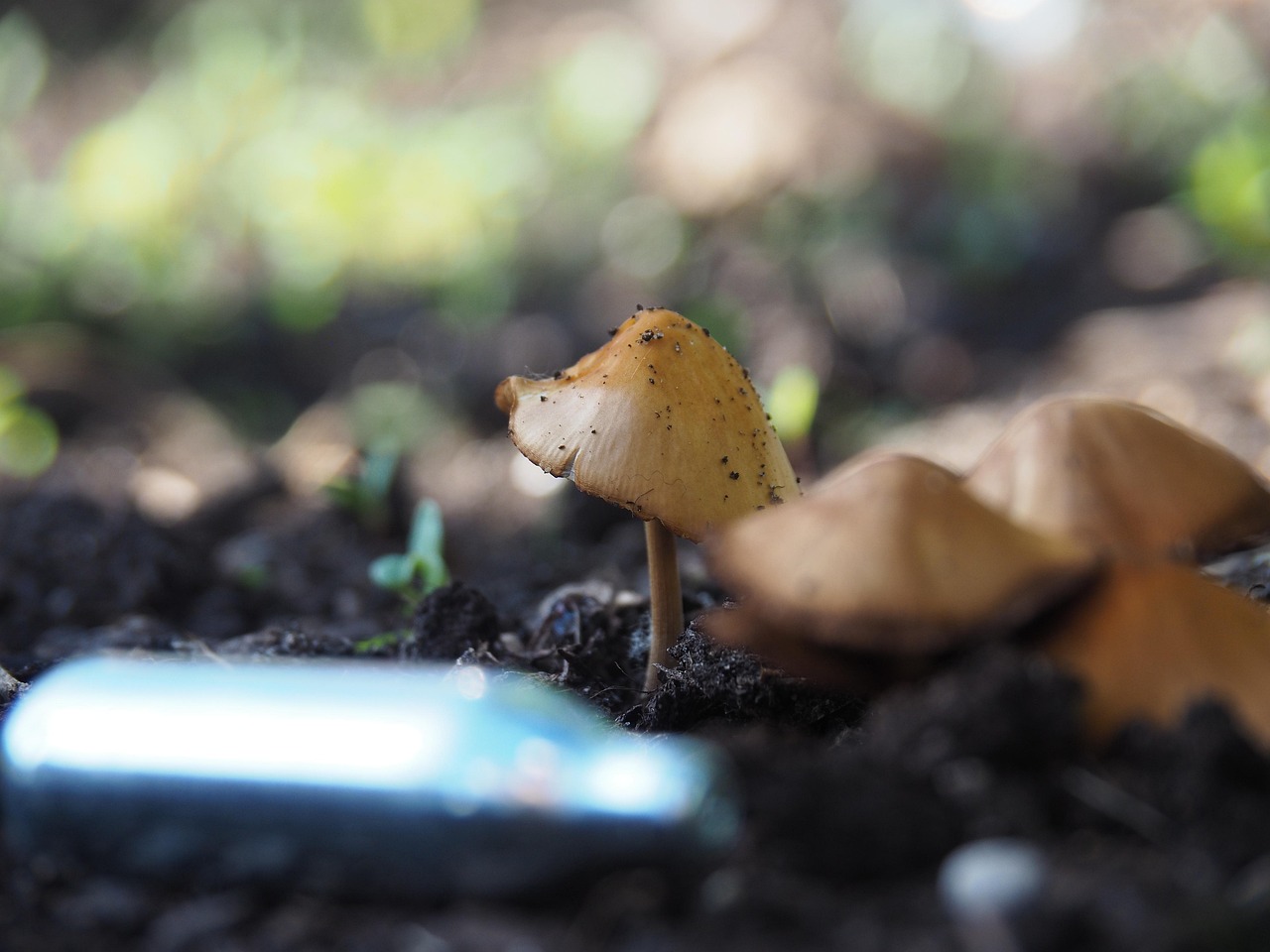 découvrez tout sur le nitrous, aussi appelé protoxyde d’azote : usages, avantages, risques et réglementations en vigueur. informez-vous avec notre guide complet.