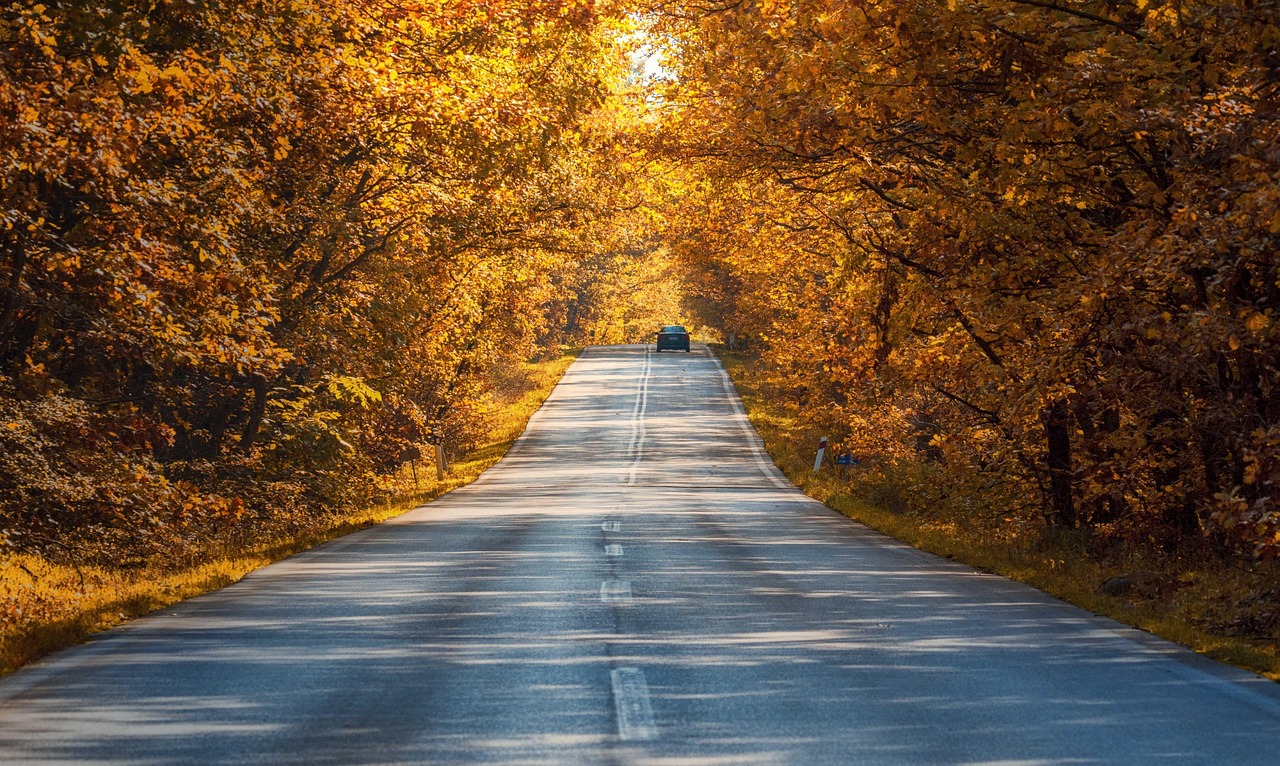 découvrez les plus belles routes panoramiques pour des balades inoubliables en voiture. explorez des paysages époustouflants et vivez des aventures sur les plus beaux circuits touristiques.