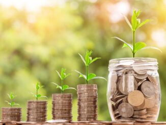 découvrez les meilleures marques offrant un excellent rapport qualité-prix : comparez, choisissez et profitez de produits fiables sans dépasser votre budget.