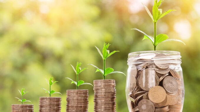 value for money brands découvrez les meilleures marques offrant un excellent rapport qualité-prix : comparez, choisissez et profitez de produits fiables sans dépasser votre budget.