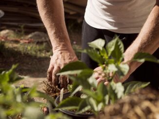 découvrez comment l'automobile transforme notre quotidien, influence nos déplacements, notre liberté et notre mode de vie moderne.
