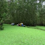 découvrez les différences entre les options de leasing pour choisir la solution de location la mieux adaptée à vos besoins et à votre budget.