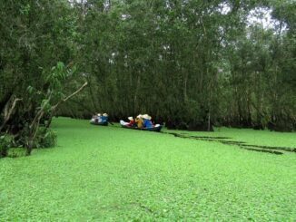 découvrez les différences entre les options de leasing pour choisir la solution de location la mieux adaptée à vos besoins et à votre budget.