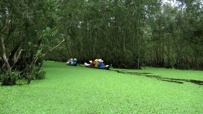 découvrez les différences entre les options de leasing pour choisir la solution de location la mieux adaptée à vos besoins et à votre budget.