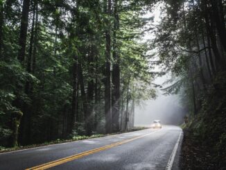 découvrez l'équipement indispensable pour un road trip réussi : sacs, accessoires, gadgets et conseils pour voyager en toute sérénité sur la route.